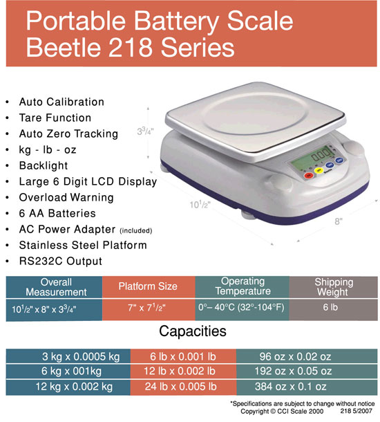 scale beetle